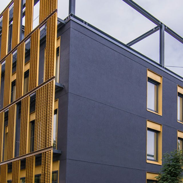 Neubau Forschungseinrichtung Max-Planck-Inst. Dresden // April 2015 – Feb.2016