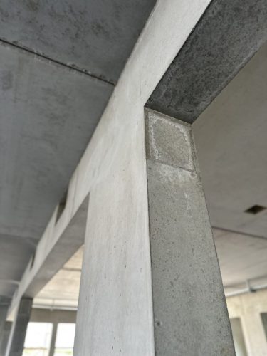IMG_2371